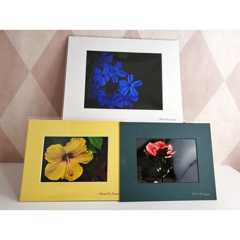 Flower Photography Prints